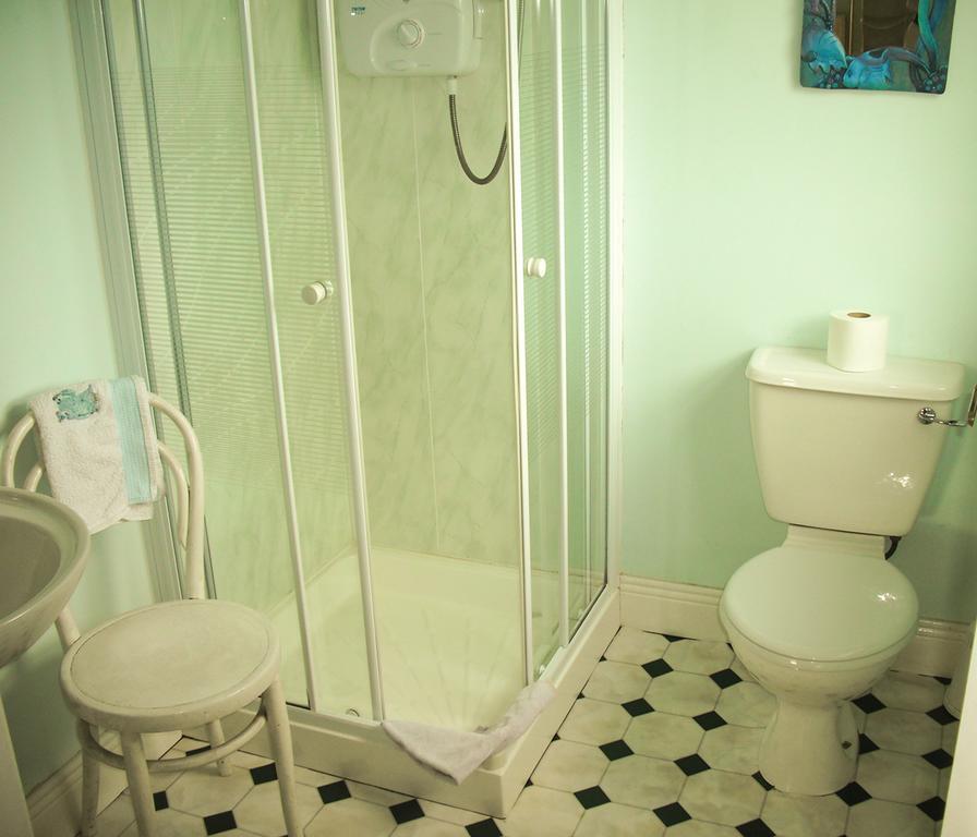 The Well Meadow B&B 纳奈赫 客房 照片