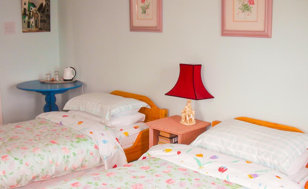 The Well Meadow B&B 纳奈赫 客房 照片