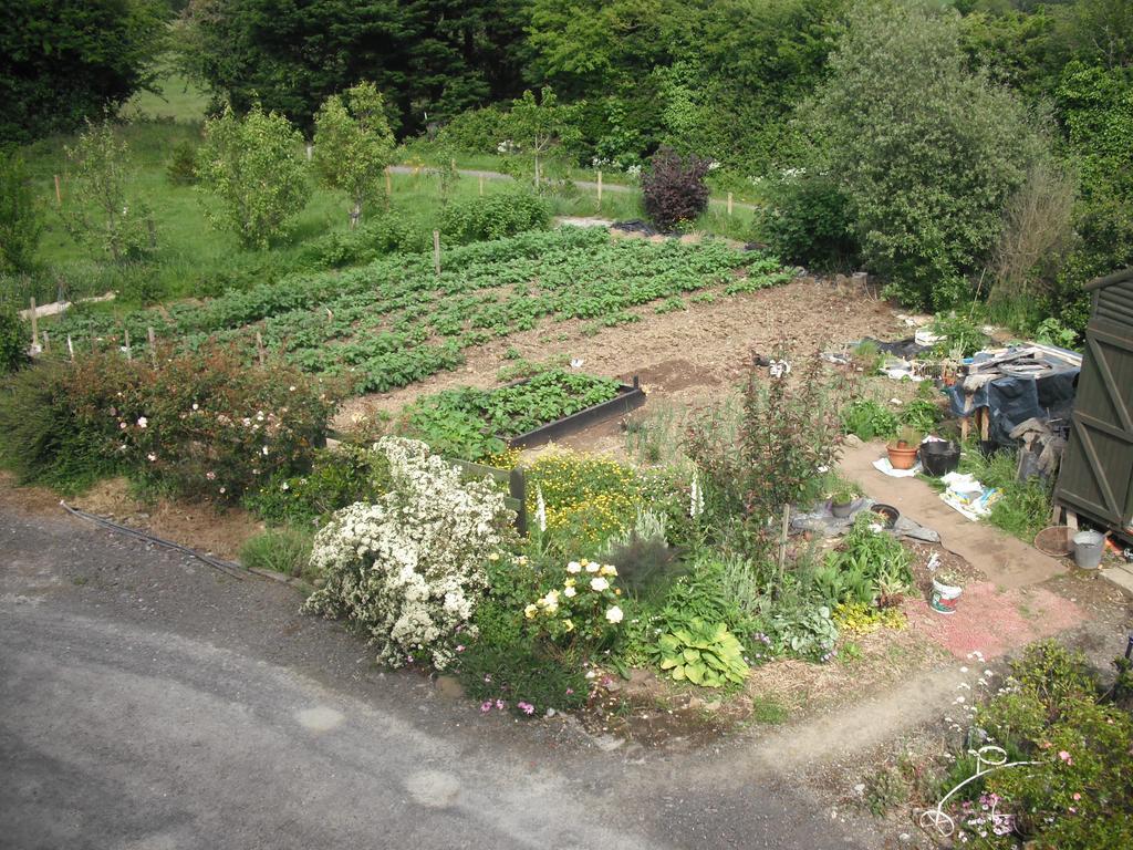 The Well Meadow B&B 纳奈赫 客房 照片